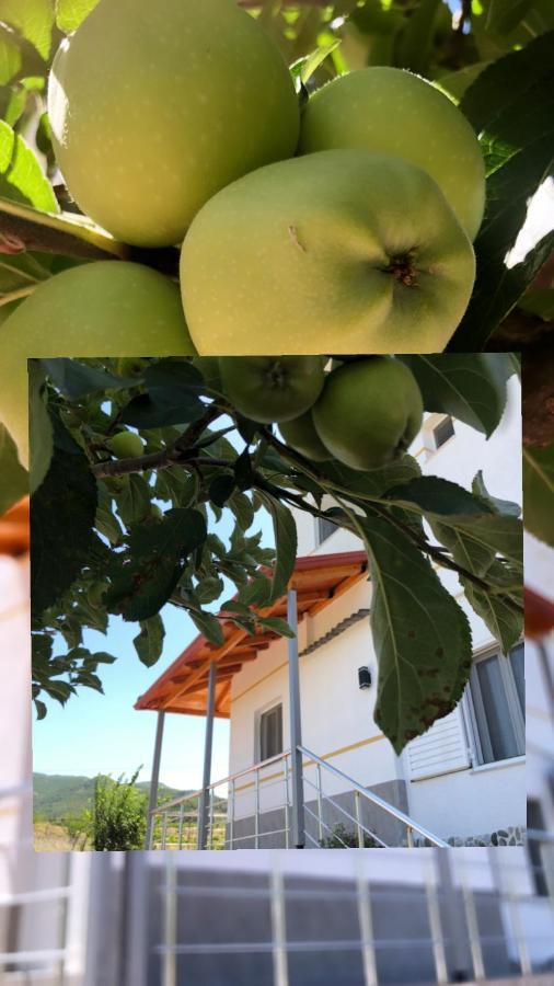 Hotel Apostoli Permet Bagian luar foto