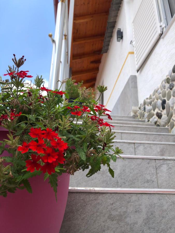 Hotel Apostoli Permet Bagian luar foto